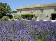 Purchase sale farmhouse / country house Lapalud