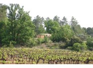 Purchase sale farmhouse / country house Roussillon