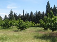 Development site Montfavet