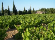 Farmhouse / country house Ramatuelle