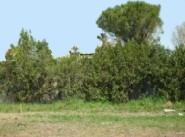 Purchase sale development site Morieres Les Avignon