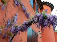 Purchase sale farmhouse / country house Vallauris