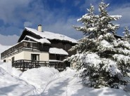 Purchase sale mountain cottage / chalet Vars